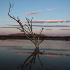 1_wetland_lorne_matalon