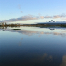 107_0782-cropped-2-3