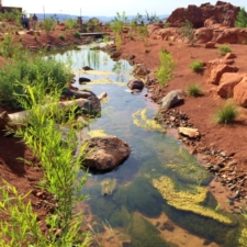 red-hills-7-1024x768