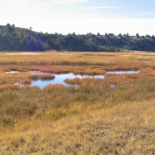 Godfrey - Depressed Area-with water-Looking West